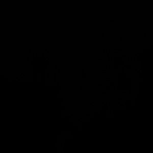 Animal 3D Print Underwear Hipster Panties Briefs